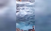 Man Dives Off Cliff In Hawaii, Dies