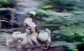 Man in bear suit falls and rolls down slope during test