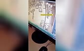 Turkish Man Crashes After Taking Care Of Cats
