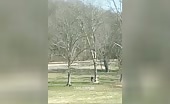 Escape Attempt During Falling Object Trajectory