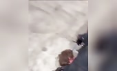 Work Late, Get Killed