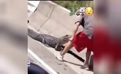 Man kicked by alligator on roadside