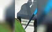 Window Cleaners Enjoy Fun