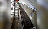 Woman Blocks Train Track With Body