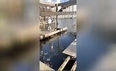 Women Want Me Fish Fear Me