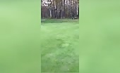 Golfer hit by ball near hole during swing