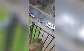Mini Car Crashes Into Truck, Driver Dies