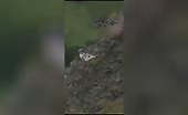 Last Ride Ends in Fatal Crash